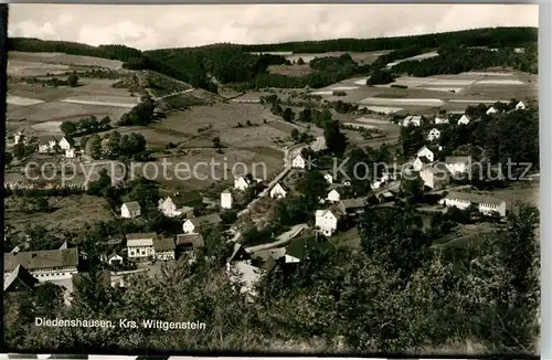 AK / Ansichtskarte Diedenshausen_Wittgenstein Gesamtansicht Landschaftspanorama Diedenshausen