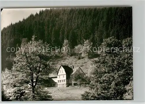 AK / Ansichtskarte Arfeld Pension Hainbach am Waldrand Arfeld