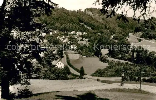 AK / Ansichtskarte Goldmuehl_Fichtelgebirge Panorama Goldmuehl Fichtelgebirge