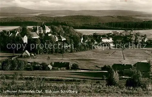 AK / Ansichtskarte Friedenfels mit Schlossberg Friedenfels