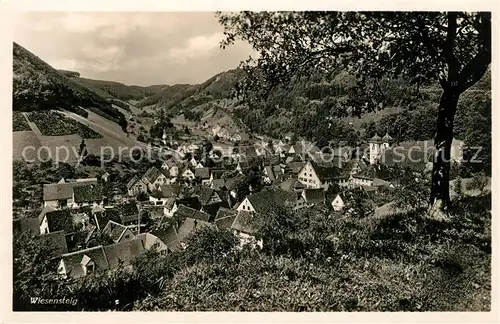 AK / Ansichtskarte Wiesensteig Panorama Wiesensteig