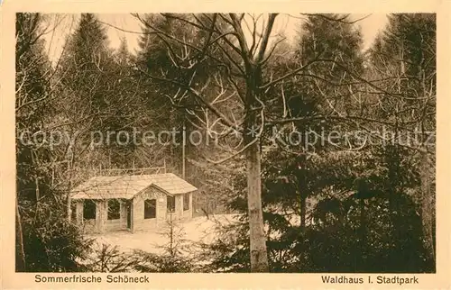 AK / Ansichtskarte Schoeneck_Vogtland Waldhaus im Stadtpark Schoeneck_Vogtland