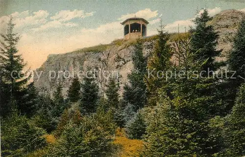 AK / Ansichtskarte Braunlage Kleine Wurmbergklippe Braunlage