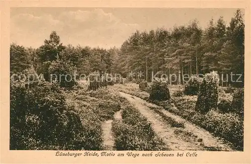 AK / Ansichtskarte Scheuen Lueneburger Heide  Scheuen