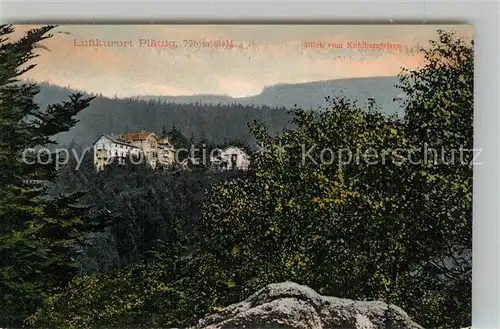 AK / Ansichtskarte Plaettig Blick vom Kohlbergfelsen Plaettig