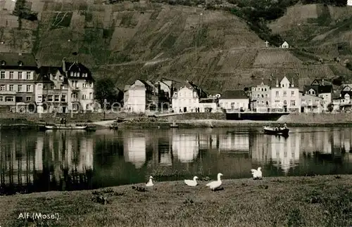 AK / Ansichtskarte Alf_Mosel Uferpartie an der Mosel Alf_Mosel