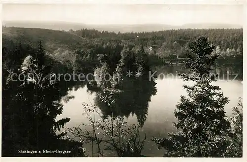 AK / Ansichtskarte Bad_Saeckingen Landschaftspanorama Bergsee Restaurant Waldcafe Bad_Saeckingen