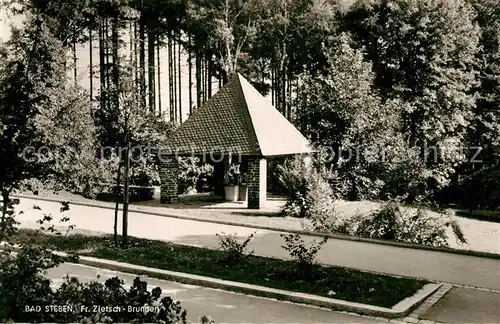 AK / Ansichtskarte Bad_Steben Fr Zietsch Brunnen Bad_Steben