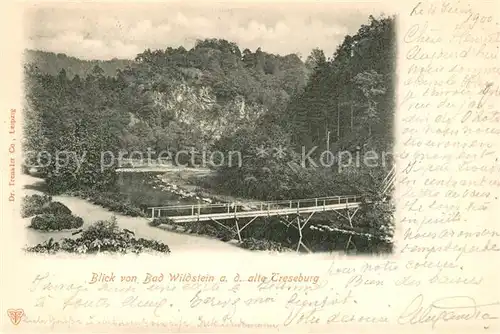 AK / Ansichtskarte Bad_Wildstein Blick zur alten Treseburg Bad_Wildstein