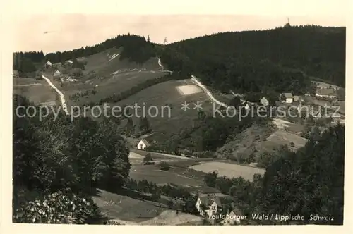 AK / Ansichtskarte Detmold Landschaftspanorama Teutoburger Wald Lippische Schweiz Detmold