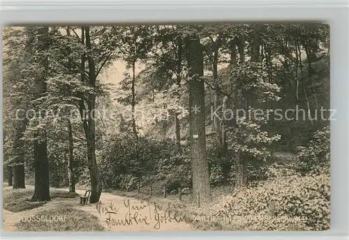 AK / Ansichtskarte Duesseldorf Waldpartie Duesseldorf