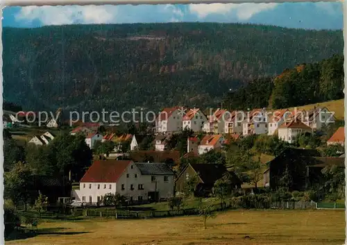 AK / Ansichtskarte Friedenfels Ortsansicht Friedenfels