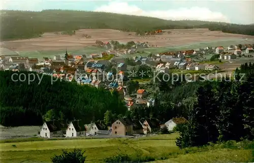 AK / Ansichtskarte Geroldsgruen Panorama Geroldsgruen