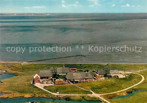 AK / Ansichtskarte Hallig_Langeness Fliegeraufnahme Maienswarft Foehr Hallig_Langeness