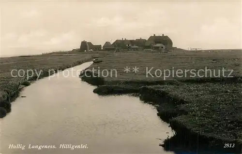 AK / Ansichtskarte Hallig_Langeness Panorama Hallig_Langeness