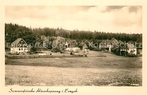 AK / Ansichtskarte Hirschsprung Wohnhaeuser am Waldrand Sommerfrische Hirschsprung