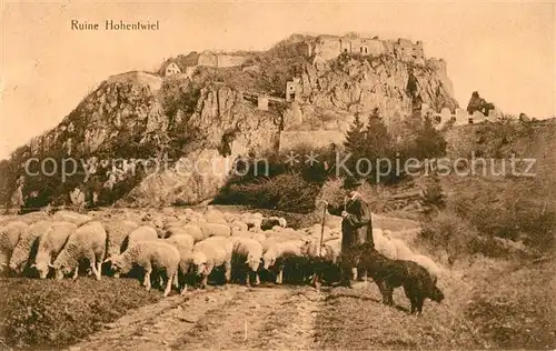 AK / Ansichtskarte Hohentwiel Festung Ruine Schaefer mit Schafherde Hohentwiel