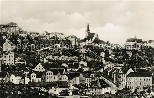 AK / Ansichtskarte Leisnig Panorama Leisnig