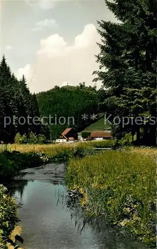 AK / Ansichtskarte Schwarzenbach_Wald Partie im Eisenbachtal Schwarzenbach Wald