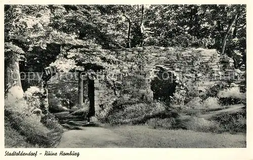 AK / Ansichtskarte Stadtoldendorf Ruine Homburg Stadtoldendorf