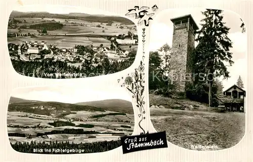 AK / Ansichtskarte Stammbach Weissenstein Fichtelgebirge Aussichtsturm Stammbach