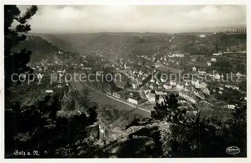 Sulz_Neckar Panorama Blick ins Tal Sulz Neckar