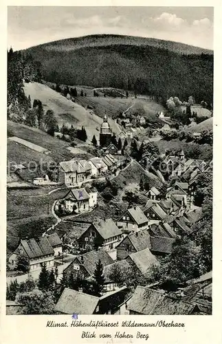 Wildemann Panorama vom Hohen Berg Wildemann