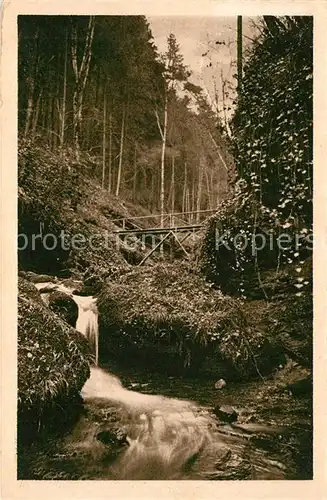 Zwingenberg_Neckar Die Wolfsschlucht Zwingenberg Neckar