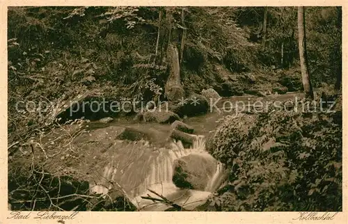 AK / Ansichtskarte Bad_Liebenzell Partie im Wald Bach Kolbachtal Kupfertiefdruck Bad_Liebenzell