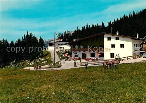 AK / Ansichtskarte Ehrwald_Tirol Ehrwalder Alm Berggaststaette Almvieh Kuehe Ehrwald Tirol