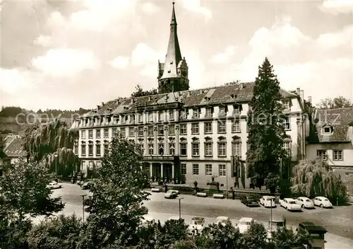 AK / Ansichtskarte Erbach_Odenwald Schloss Erbach Odenwald