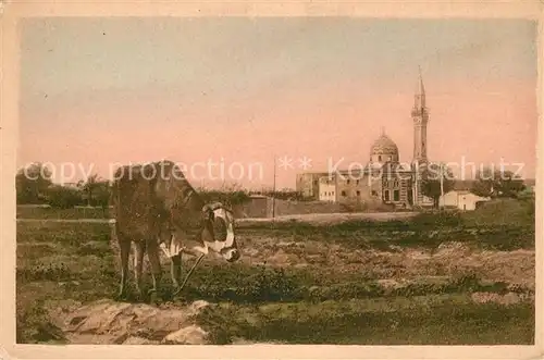 AK / Ansichtskarte Alexandria_Alexandrie_Aegypten Sidi Gaber Moschee Alexandria_Alexandrie