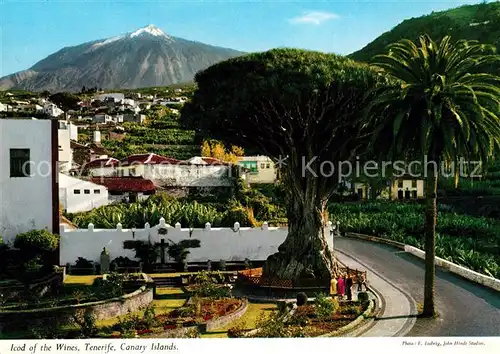 AK / Ansichtskarte Tenerife Icod of the Wines Tenerife