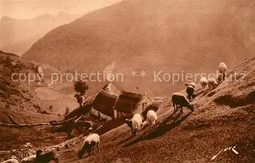 AK / Ansichtskarte Gavarnie_Hautes Pyrenees Paturages dans la montagne des moutons Gavarnie Hautes Pyrenees