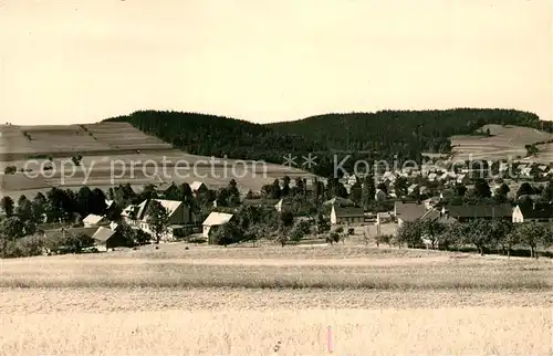 AK / Ansichtskarte Polenz_Neustadt Panorama Polenz_Neustadt