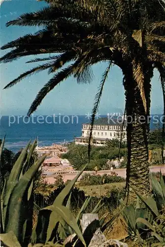 AK / Ansichtskarte Ericeira Palmen Blick zum Hotel de Turismo Meerblick Ericeira