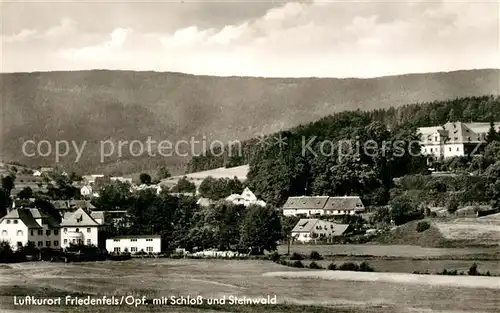 AK / Ansichtskarte Friedenfels Teilansicht Friedenfels