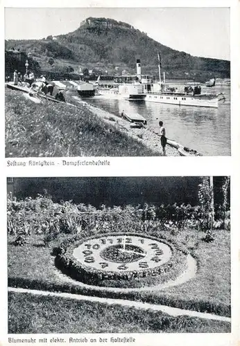 AK / Ansichtskarte Koenigstein_Saechsische_Schweiz Festung Koenigstein Dampferlandestelle Blumenuhr Koenigstein_Saechsische