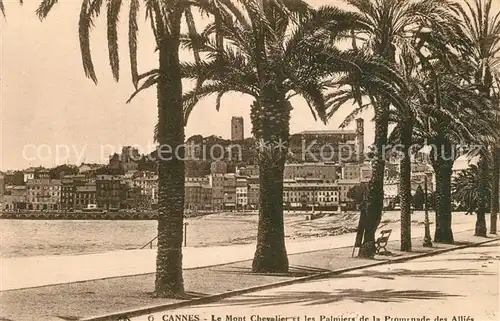 AK / Ansichtskarte Cannes_Alpes Maritimes Promenade des Allies et Mont Chevalier Cannes Alpes Maritimes