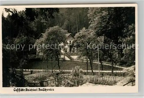 AK / Ansichtskarte Bad_Schandau Gaststaette Waldhaeusl Bad_Schandau