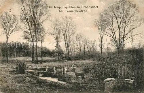 AK / Ansichtskarte Frohnsdorf_Brandenburg Nieplitzquellen Frohnsdorf Brandenburg