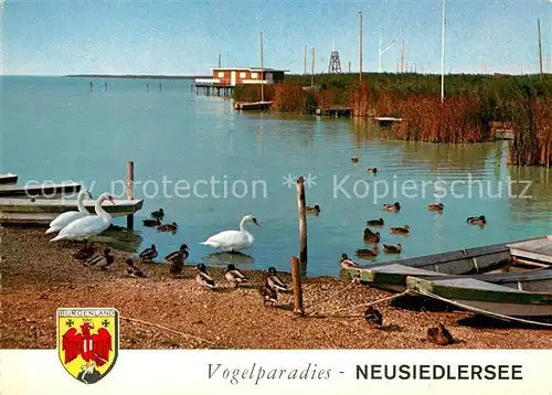 AK / Ansichtskarte Burgenland_Oesterreich Vogelparadies Neusiedlersee Burgenland_Oesterreich