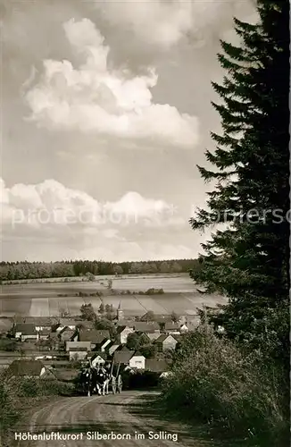 AK / Ansichtskarte Silberborn Blick zum Ort Ochsenkarren Silberborn