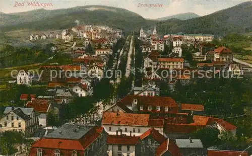 AK / Ansichtskarte Bad_Wildungen Stadtpanorama mit Brunnenallee Bad_Wildungen