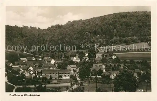 AK / Ansichtskarte Saalborn_Blankenhain Panorama 