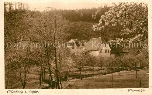 AK / Ansichtskarte Eisenberg_Thueringen Pfarrmuehle Baumbluete Eisenberg Thueringen