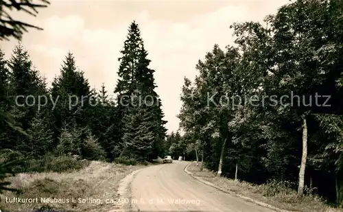 AK / Ansichtskarte Neuhaus_Solling Waldweg Luftkurort Neuhaus Solling