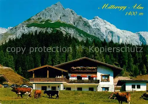 AK / Ansichtskarte Muehlbach_Hochkoenig Mitteregg Alm Muehlbach Hochkoenig