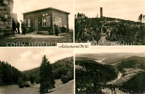 AK / Ansichtskarte Schmiedefeld_Rennsteig Landschaftspanorama Vessertal Adlersberg Turm Schmiedefeld_Rennsteig