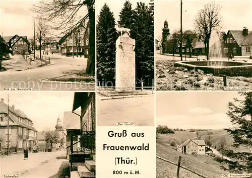 AK / Ansichtskarte Frauenwald_Thueringen Nordstrasse Hirsch Denkmal Platz des Friedens Brunnen Suedstrasse HOG Fraubachmuehle Frauenwald Thueringen